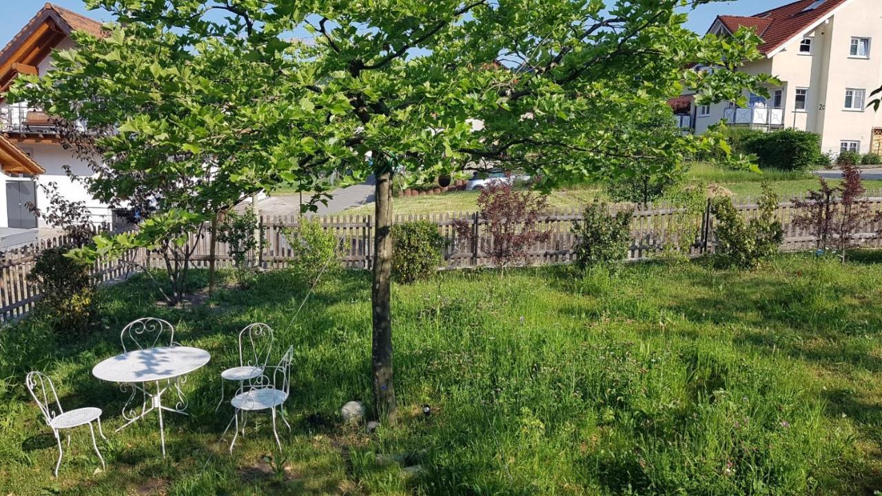 Historisches Fachwerkhaus "Hoher Hirschen" - Stilvolles Studio Und Museales Apartment Mit Romantischem Hof Und Garten Bodman-Ludwigshafen Eksteriør billede
