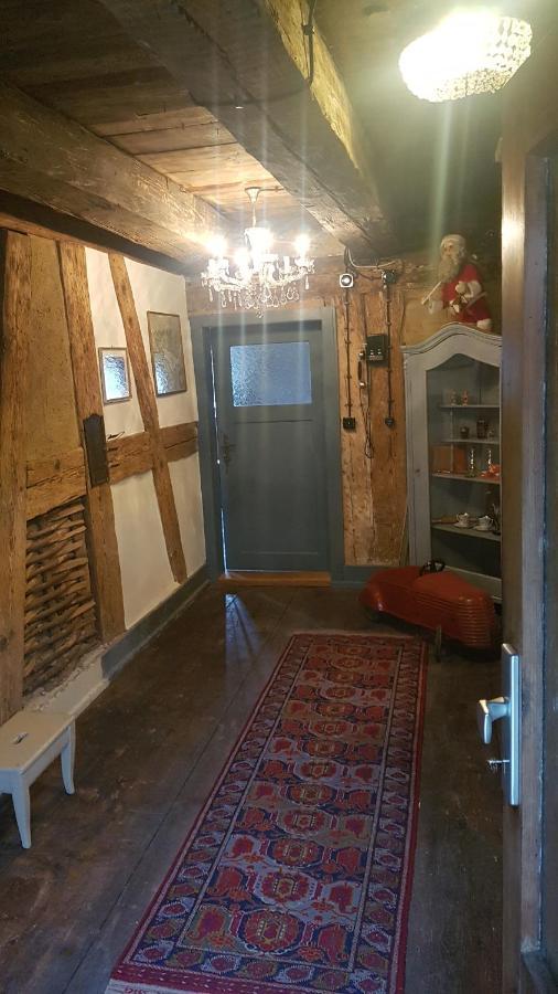 Historisches Fachwerkhaus "Hoher Hirschen" - Stilvolles Studio Und Museales Apartment Mit Romantischem Hof Und Garten Bodman-Ludwigshafen Eksteriør billede
